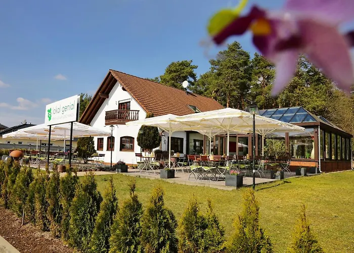 Lokal Genial Pension & Restaurant